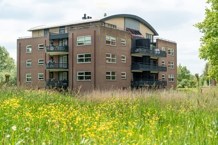 Foto 2 van de Anjen 49