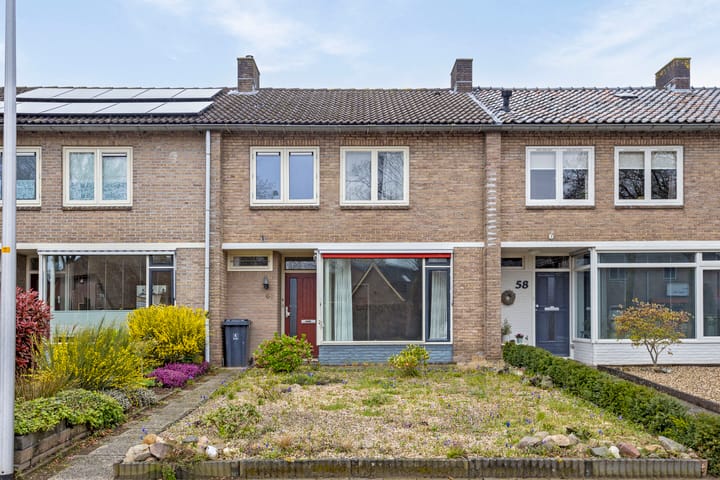 undefined main image