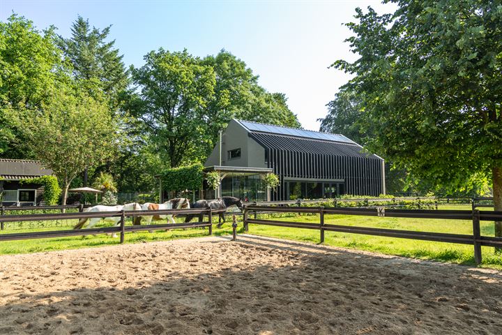 Bekijk foto 1 van Amersfoortseweg 204