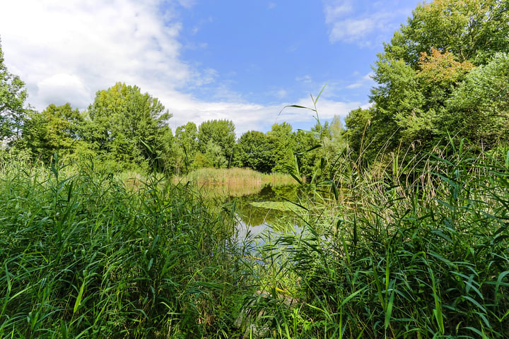 Bekijk foto 41 van Wiekslag 115