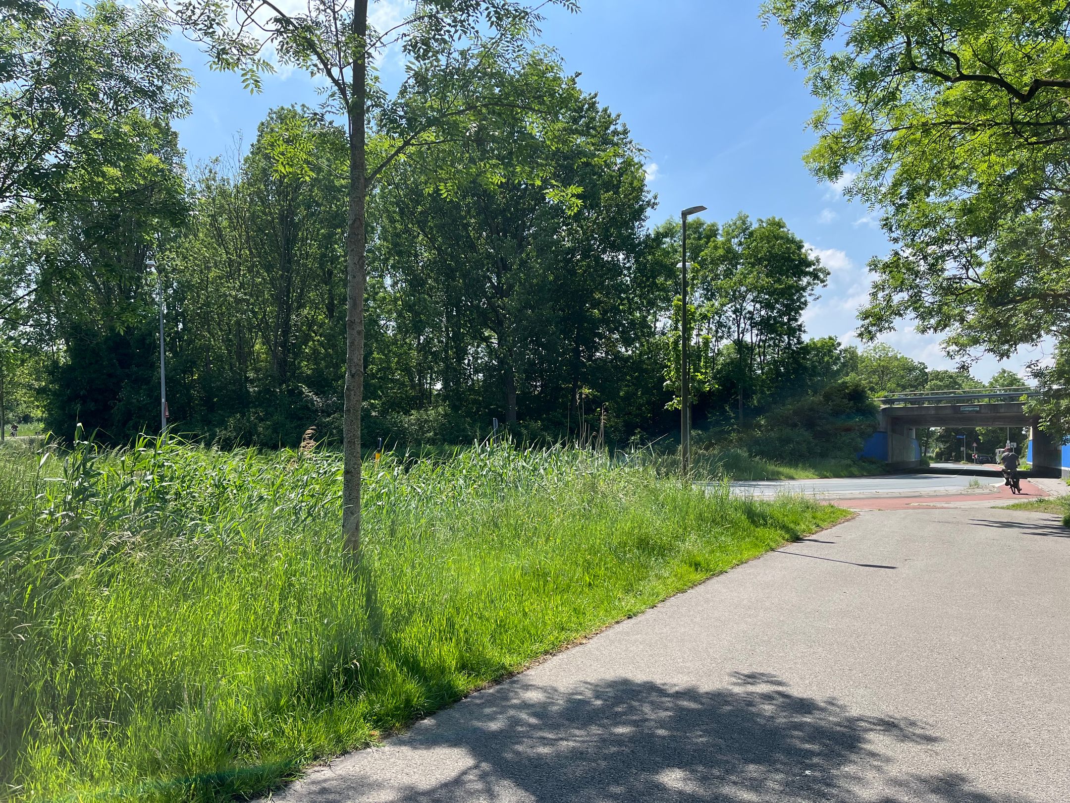 Foto 3 van Groningerweg 25