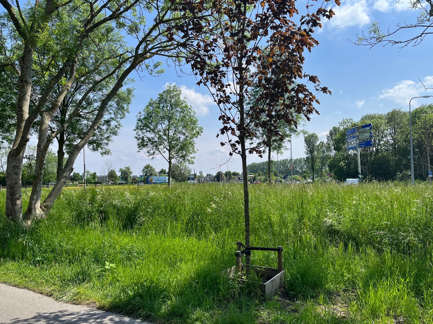 Foto 4 van Groningerweg 25