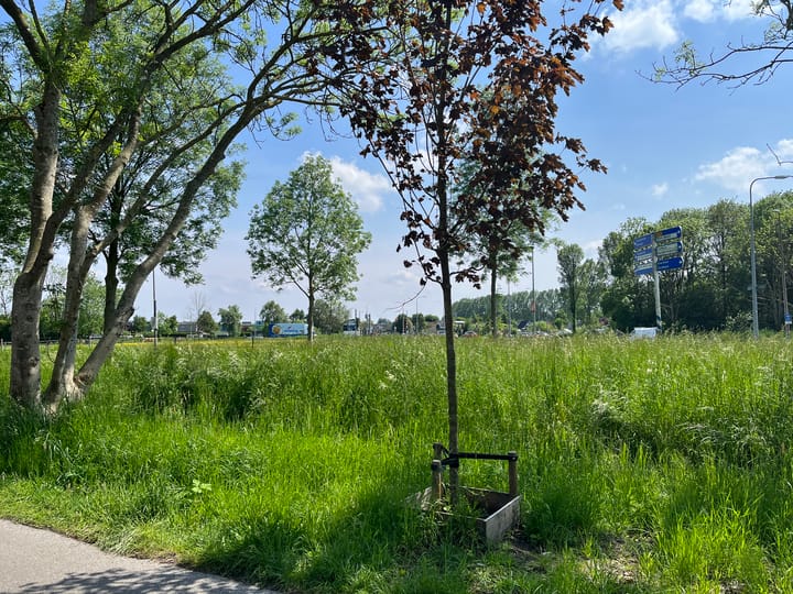 Foto 4 van Groningerweg 25