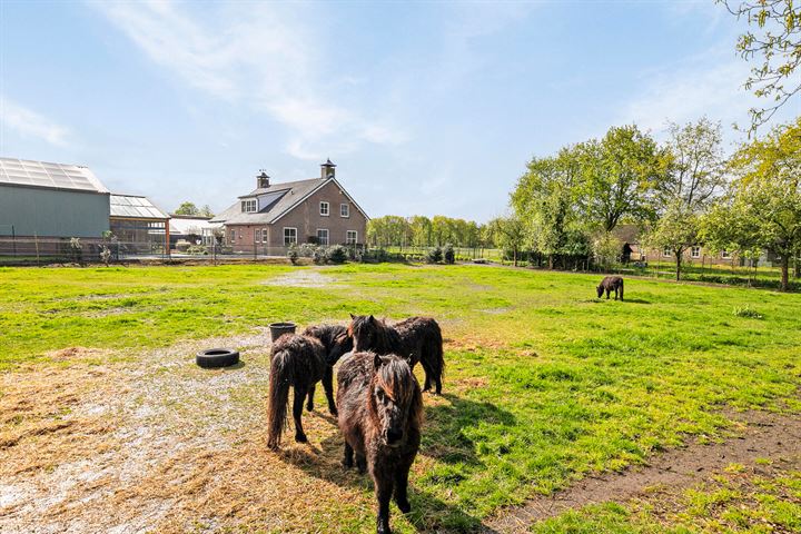 Bekijk foto 33 van Weyerweg 25