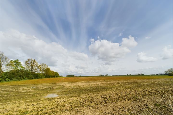 Bekijk foto 35 van Veerstraat 47