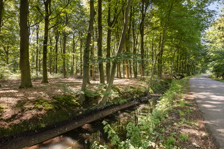 Foto 13 van Essenburgweg 14