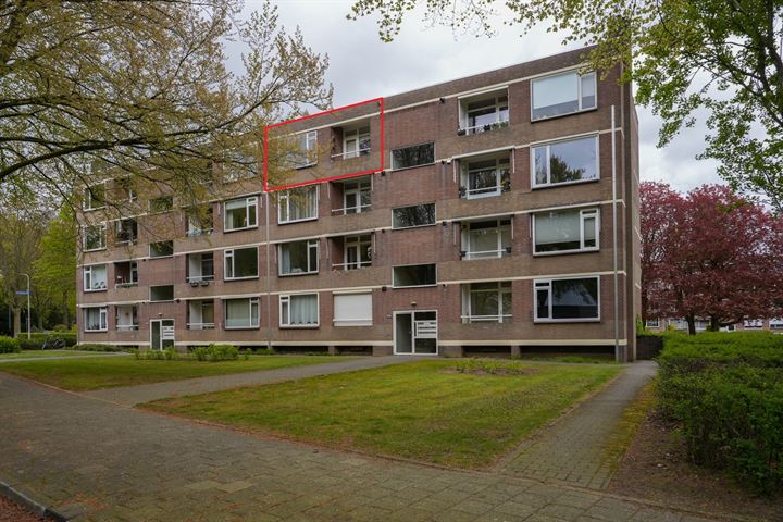 Bekijk foto 2 van Rentmeesterlaan 10