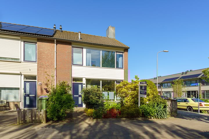 undefined main image