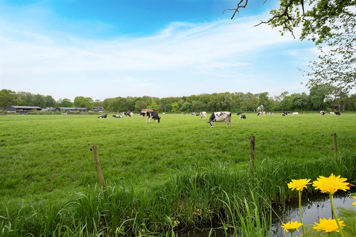 View photo 72 of Duin- en Kruidbergerweg 91