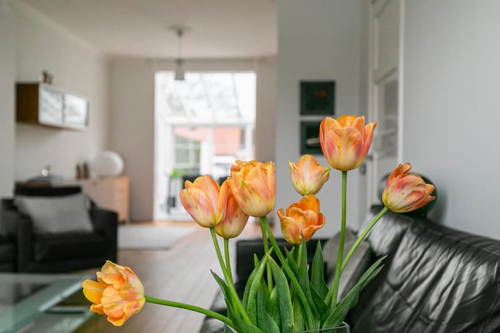 Foto 11 van Axelsestraat 128