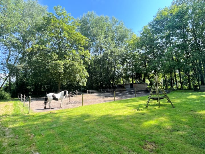 Photo 12 of Heereweg 16