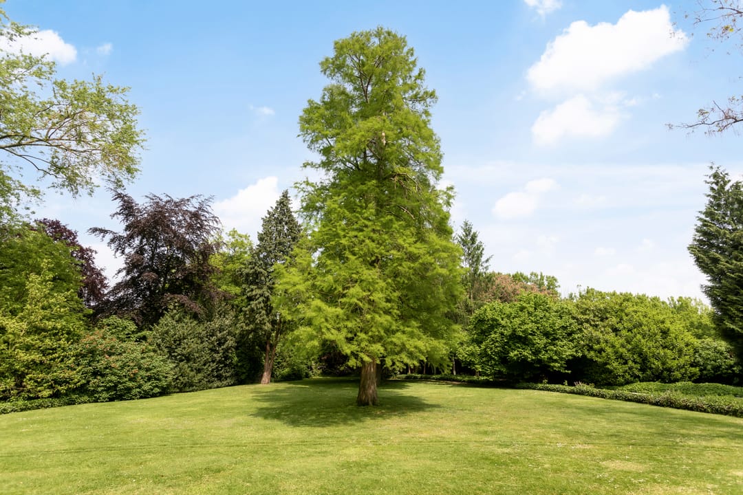 Foto 31 van President Rooseveltlaan 2