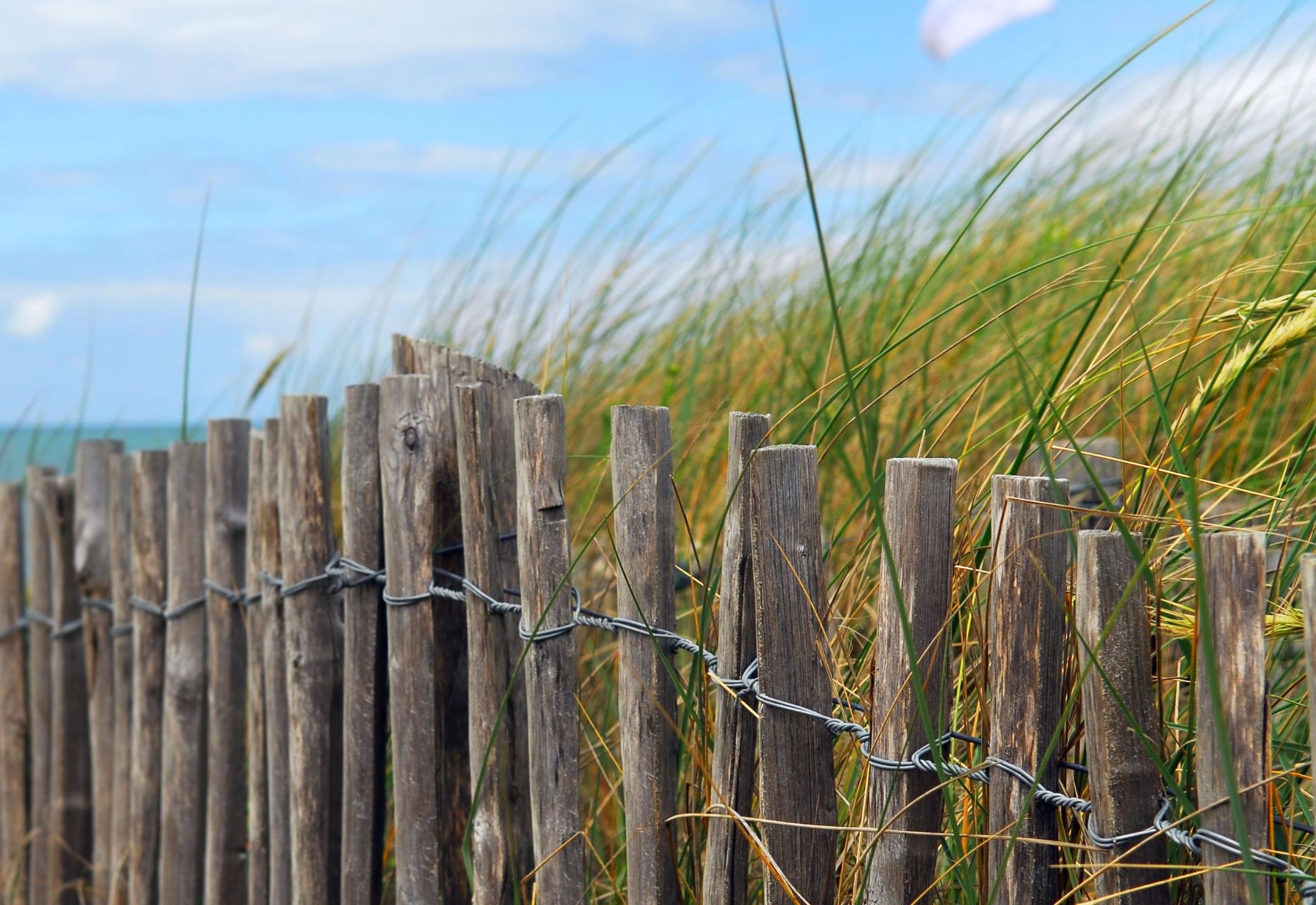 Photo 21 of Zanderijweg 18 (Bouwnr. 22)