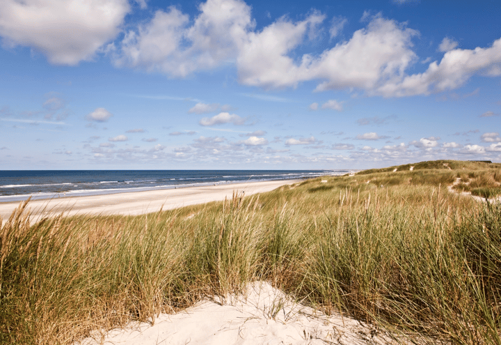 Photo 16 of Zanderijweg 22 (Bouwnr. 26)