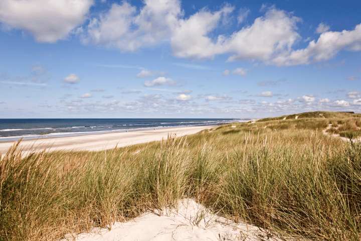 Bekijk foto 16 van Zanderijweg 22 (Bouwnr. 26)