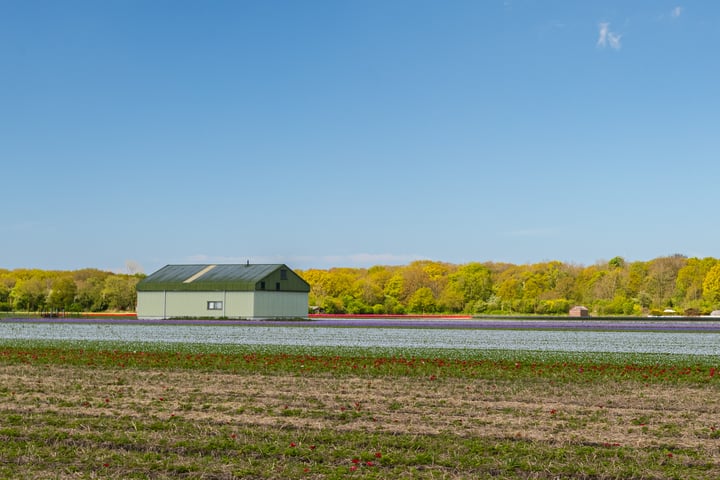 Bekijk foto 15 van Zanderijweg 22 (Bouwnr. 26)