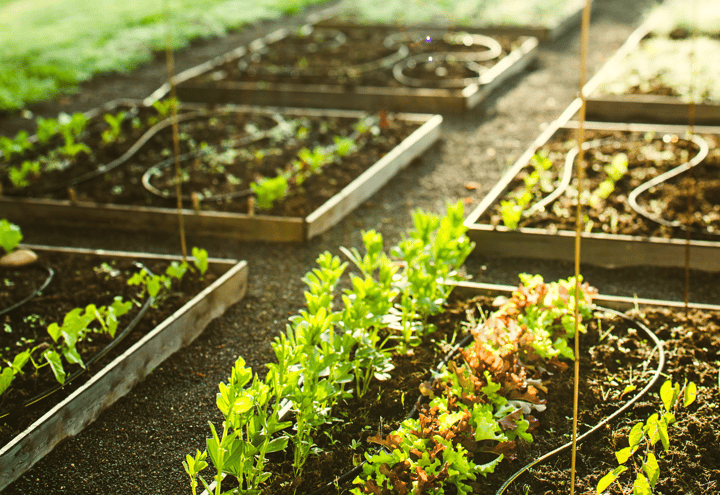 Foto 15 van Zanderijweg 20 (Bouwnr. 24)