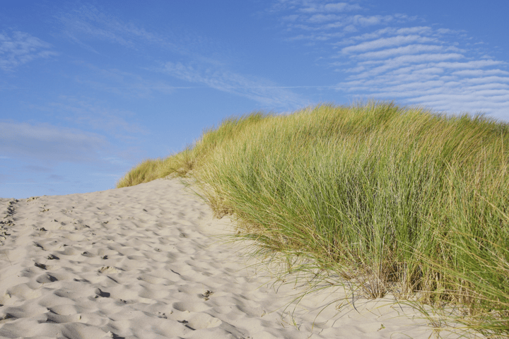 Bekijk foto 13 van Zanderijweg 11 (Bouwnr. 1)