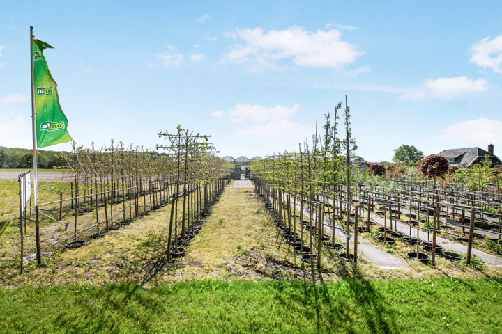 Bekijk foto 16 van Zanderijweg 11 (Bouwnr. 1)