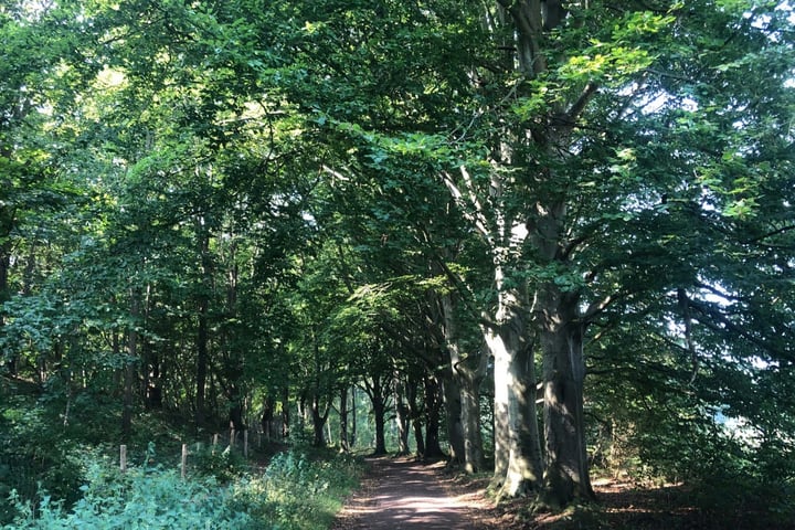 Bekijk foto 25 van Zanderijweg 11 (Bouwnr. 1)