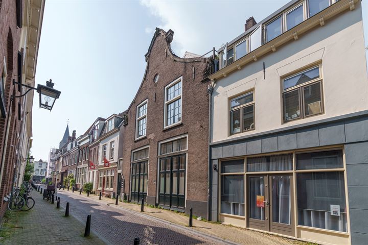 Bekijk foto 41 van Jacobijnenstraat 22-C