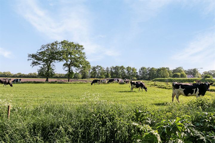 Bekijk foto 34 van Van Karnebeeklaan 6