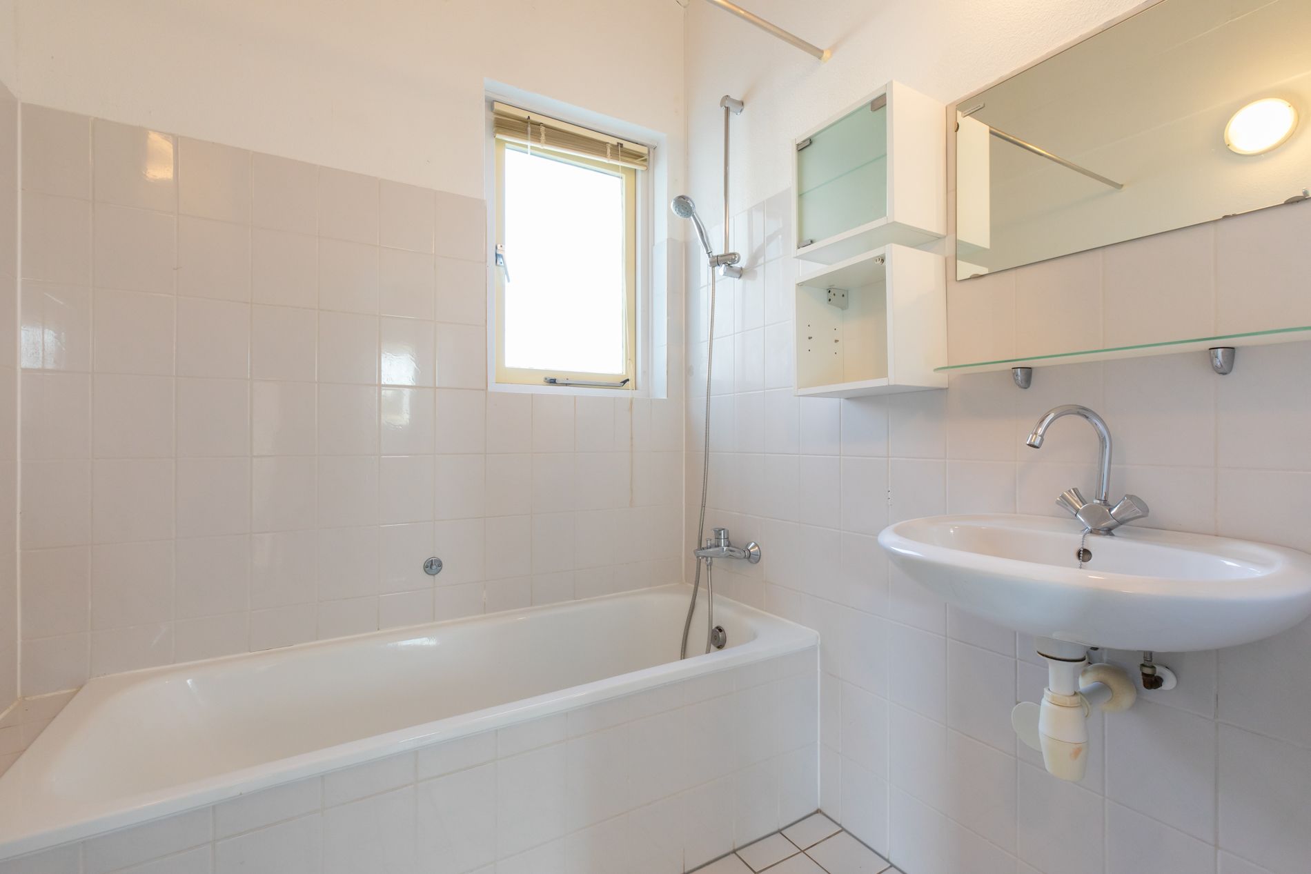 Foto 9 van Binnendijk 2-084