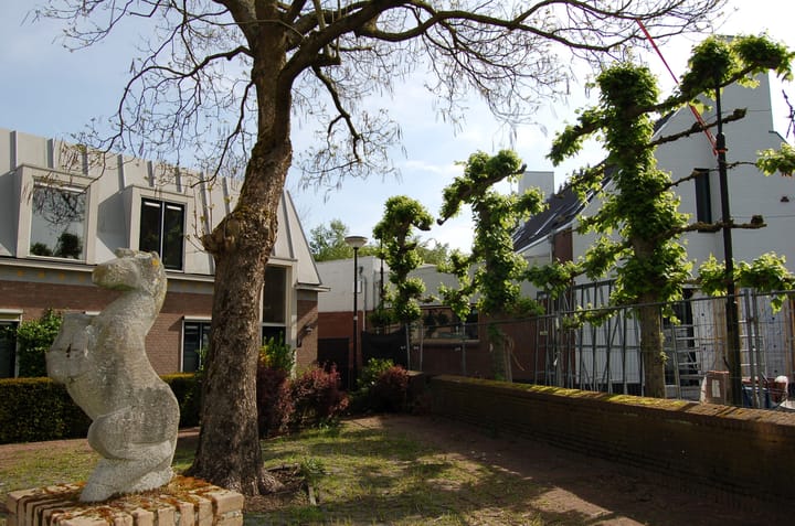 Foto 6 van Langstraat 2