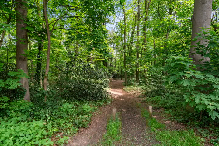 Foto 3 van Hillegondalaan 11