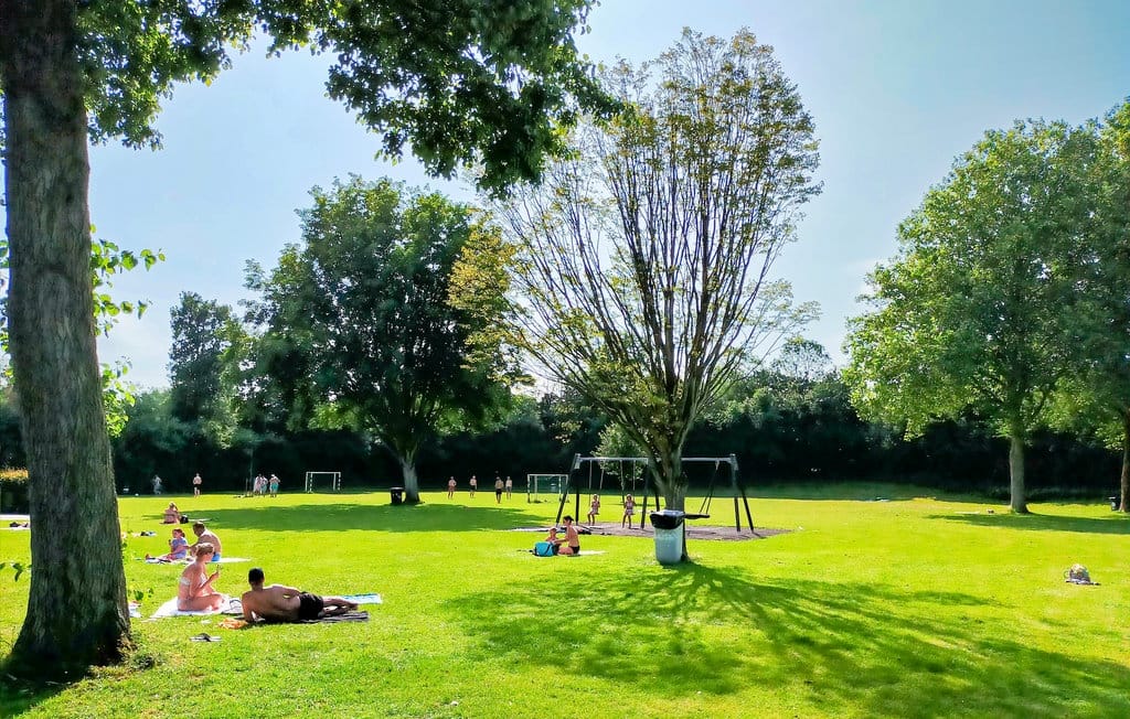 Foto 28 van Stelleplas 223