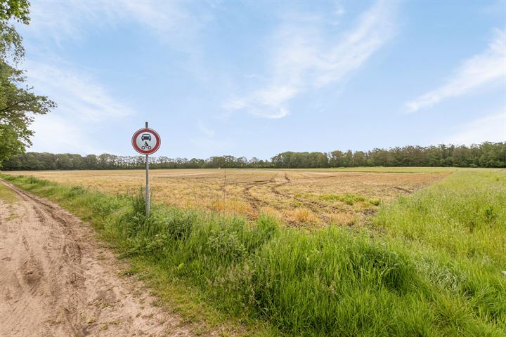 Bekijk foto 9 van Landgoed Grote Beer Westendorp