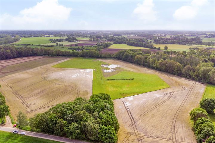 Bekijk foto 10 van Landgoed Grote Beer Westendorp