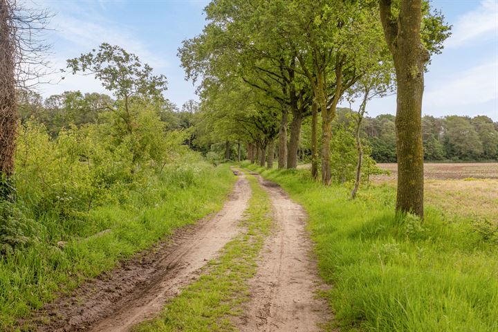 Bekijk foto 14 van Landgoed Grote Beer Westendorp