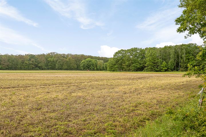 Bekijk foto 15 van Landgoed Grote Beer Westendorp