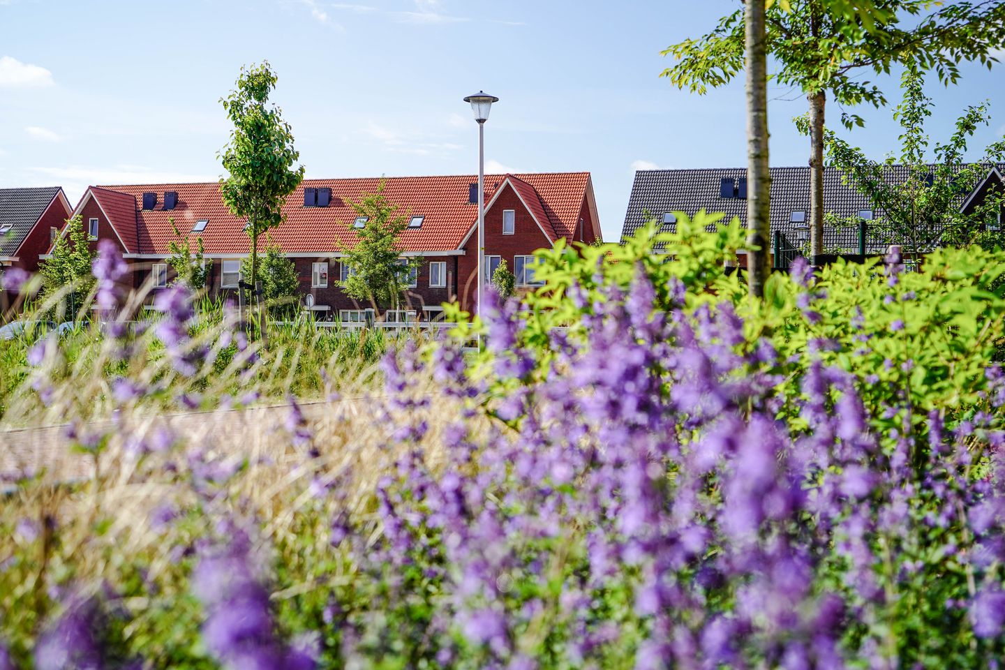 Foto 8 van Gouden Singel