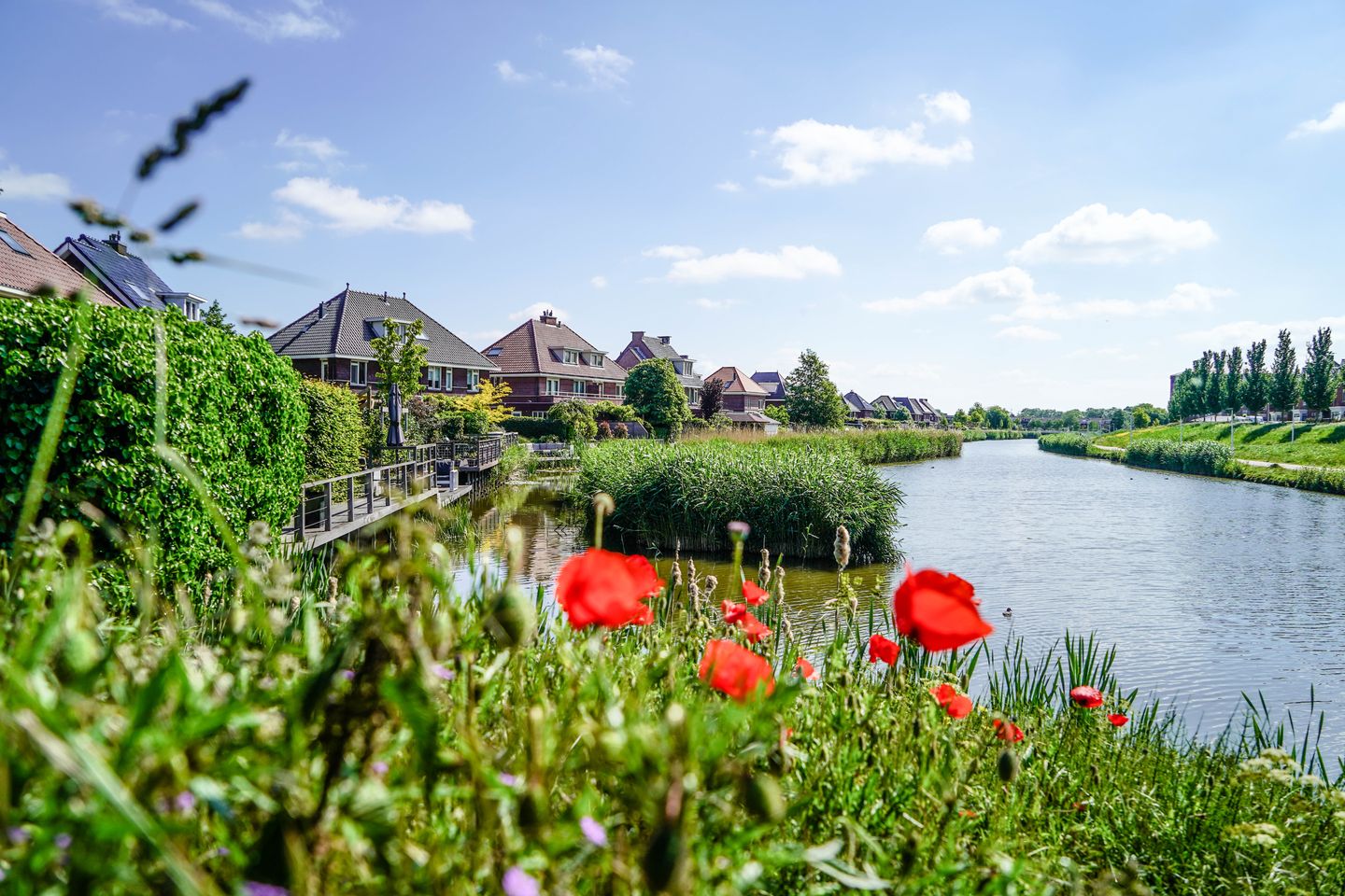 Foto 9 van Gouden Singel