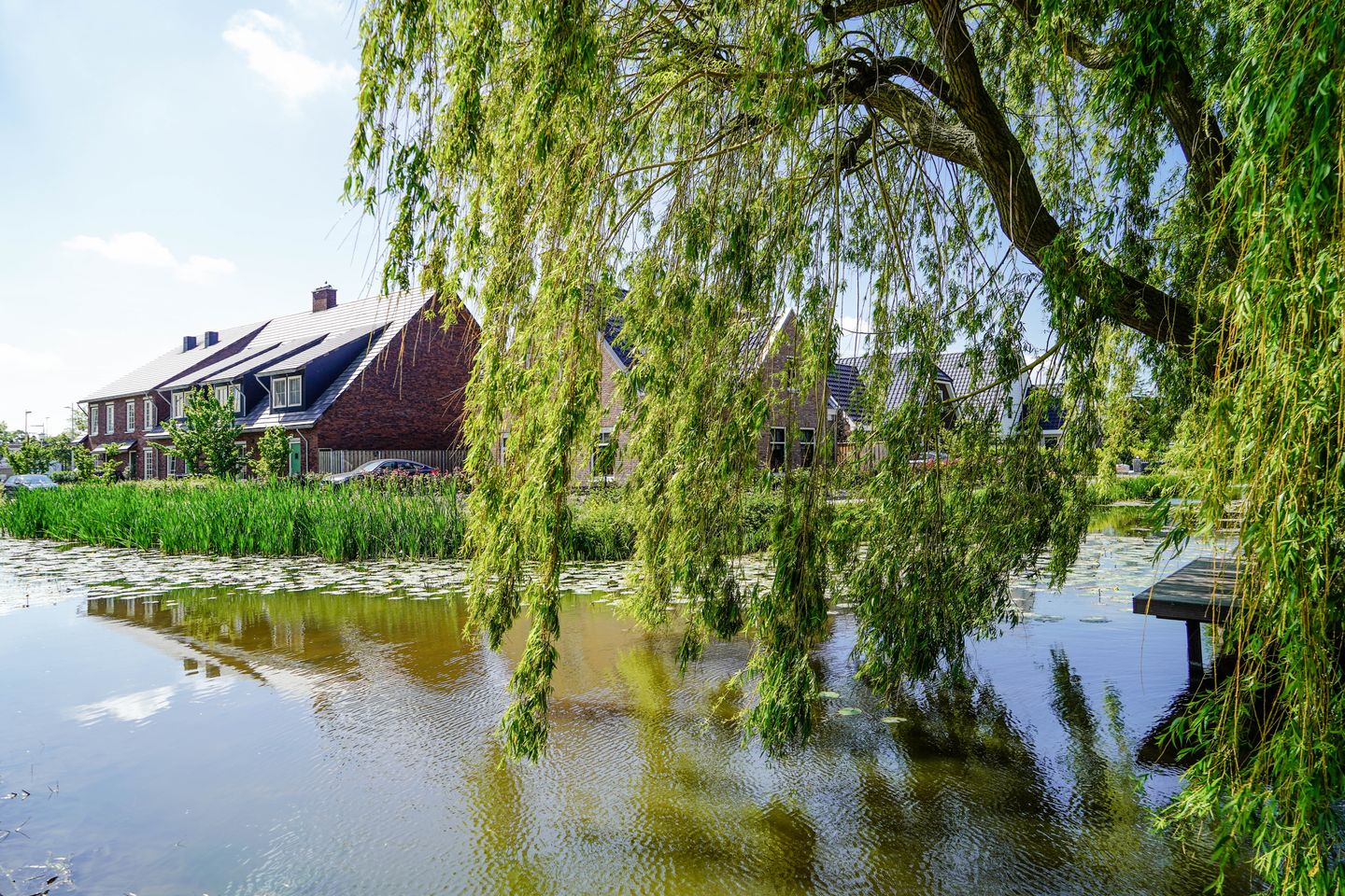 Foto 13 van Gouden Singel