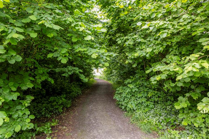 Bekijk foto 44 van Sambrestraat 22