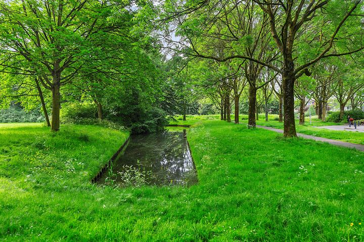 Bekijk foto 38 van Kalmarpad 13