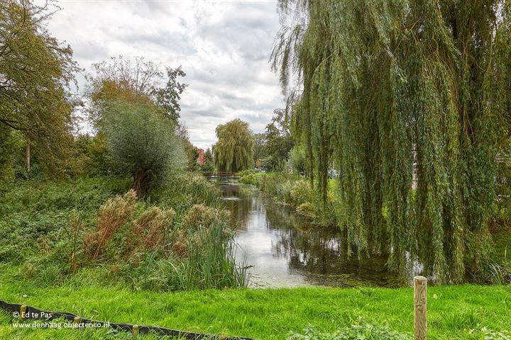 Bekijk foto 26 van Denenburg 110