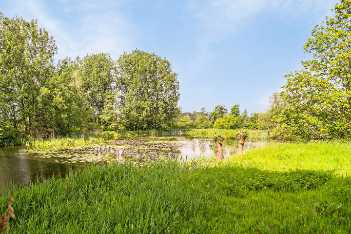 Bekijk foto 24 van Vlaardingerdijk 222