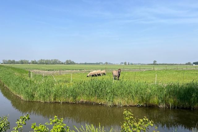 Bekijk foto 30 van Galatheseweg 22