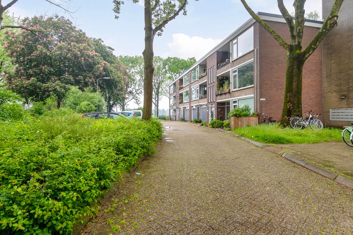 Bekijk foto 3 van Thorbeckestraat 404