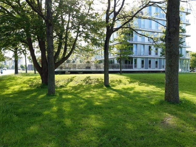 Photo 17 of Professor J.H. Gunningstraat 91