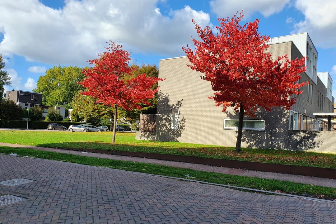 Foto 22 van Professor J.H. Gunningstraat 91