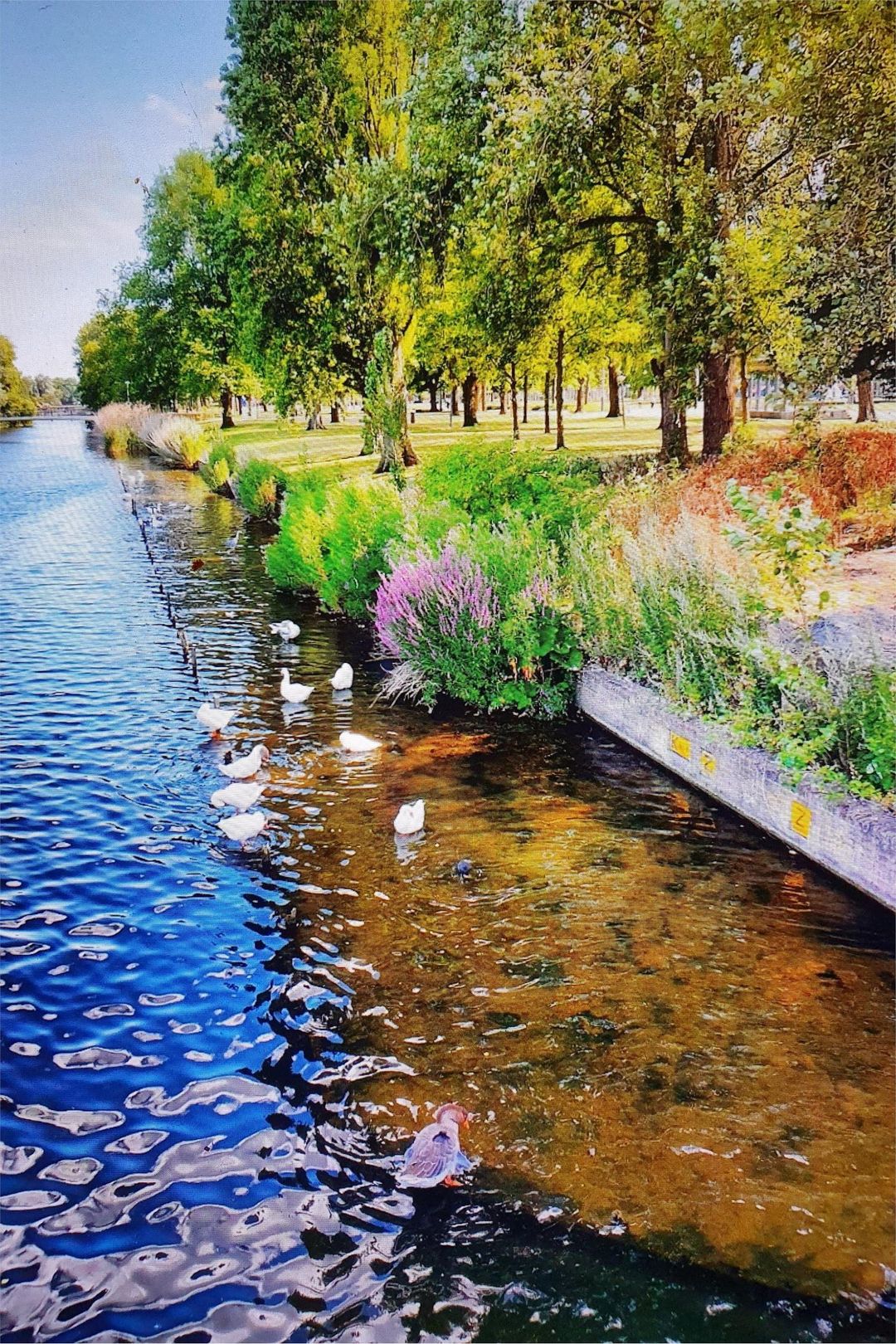 Foto 23 van Professor J.H. Gunningstraat 91