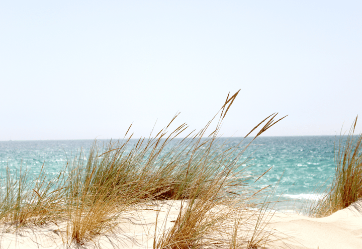 Foto 1 van Zanderijweg 20 (Bouwnr. 24)