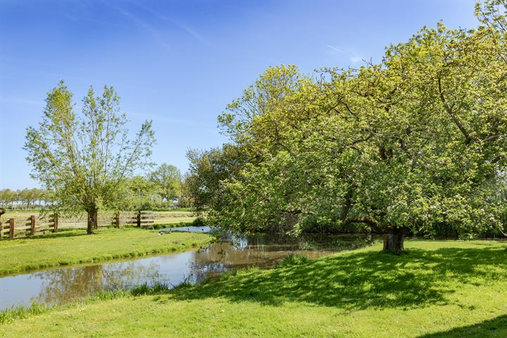 Bekijk foto 38 van Grootweg 12