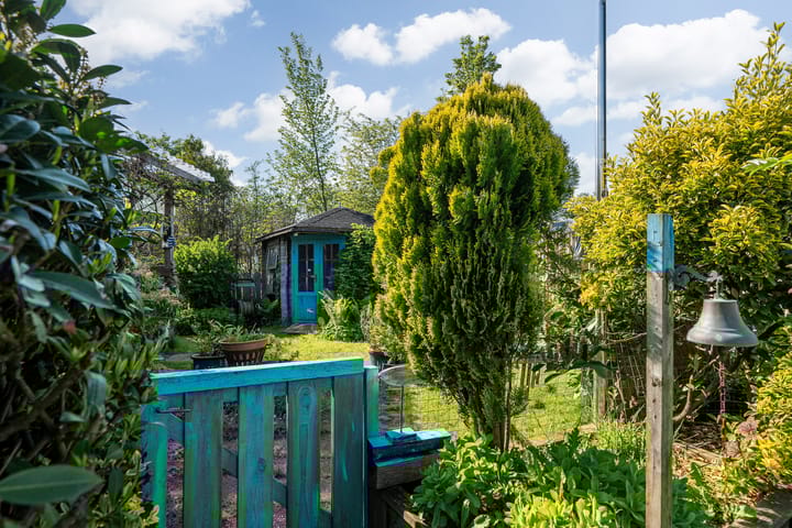 Photo 18 of Yn 'e Lijte 1-75