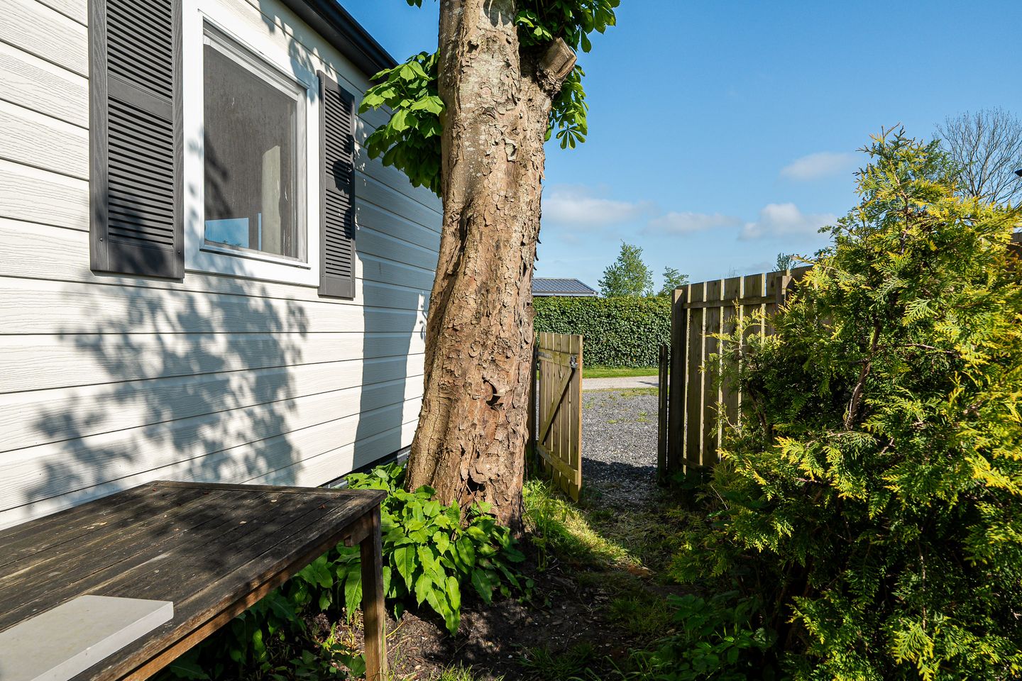 Photo 29 of Yn 'e Lijte 1-75